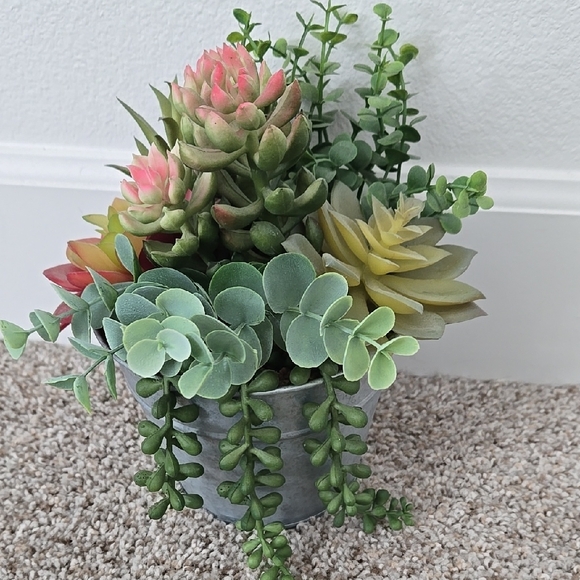 Succulent Arrangement in Gray Metal Pot - Picture 5 of 9
